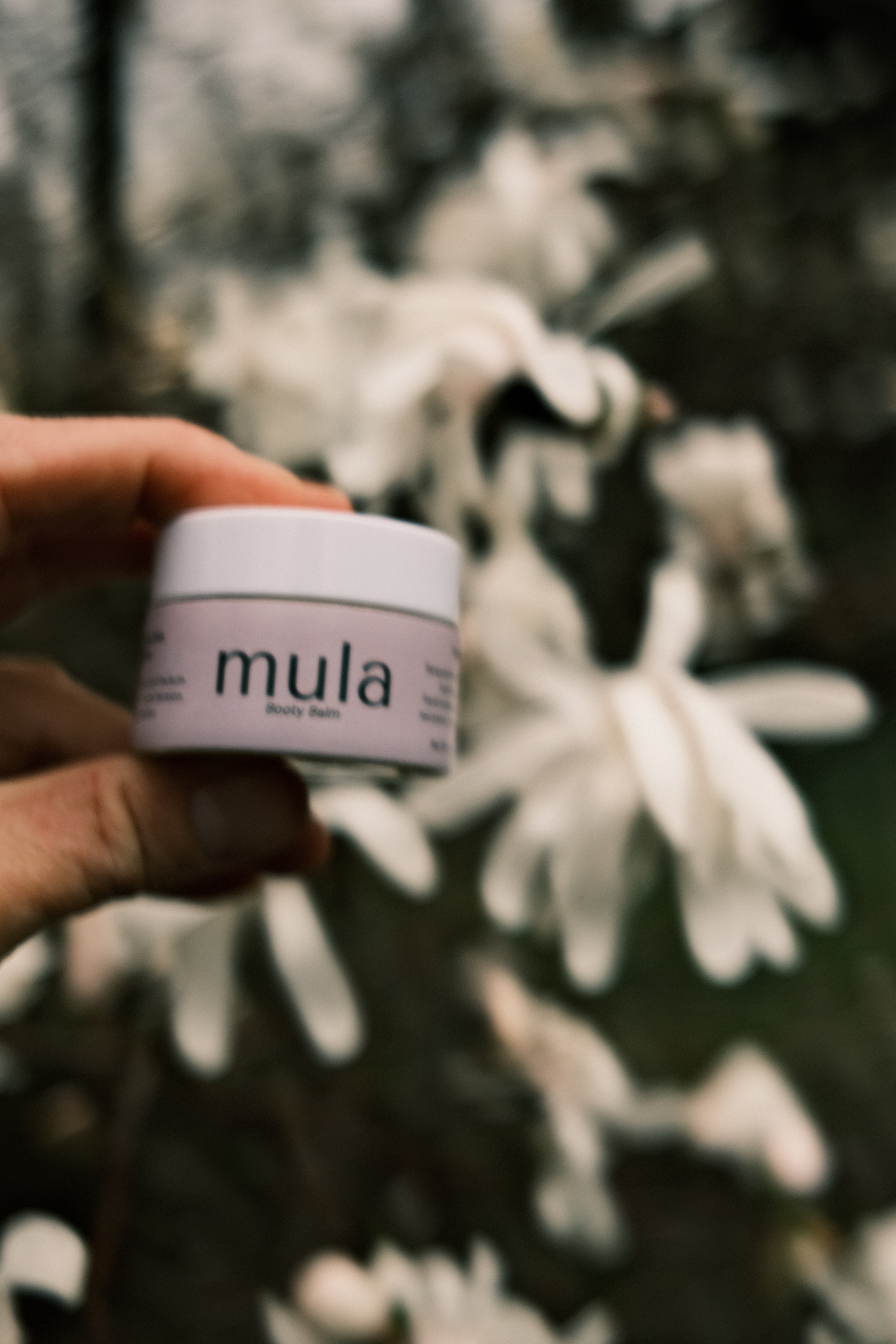 Mula Body